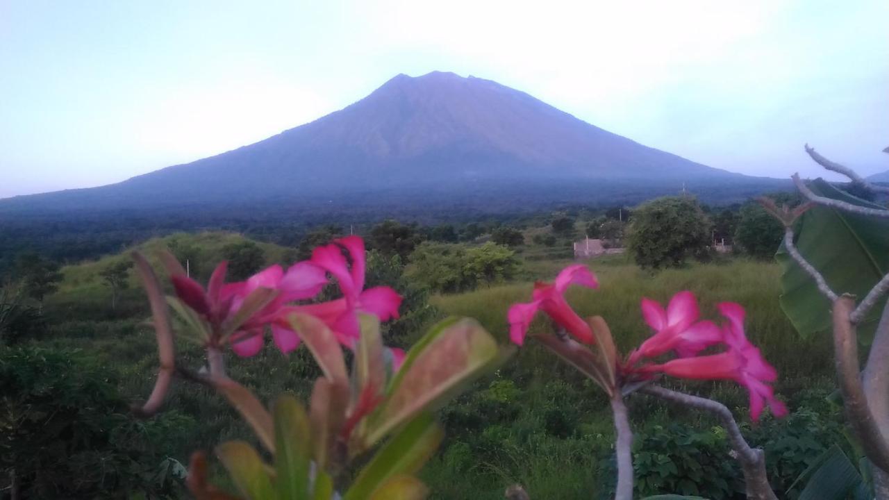 Khrisna Sunrise Homestay Tulamben 外观 照片