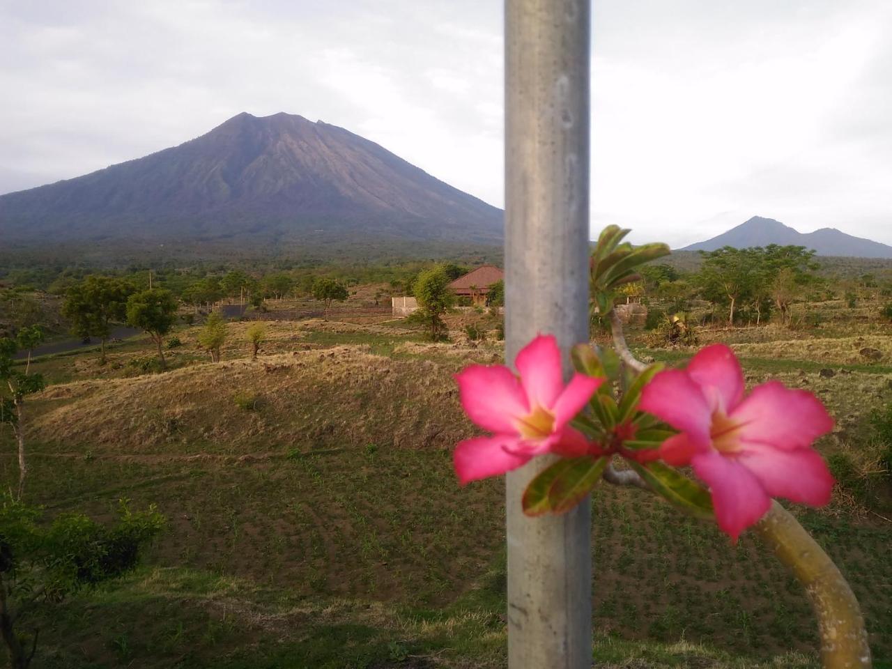 Khrisna Sunrise Homestay Tulamben 外观 照片